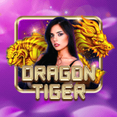 Dragon Tiger live casino table